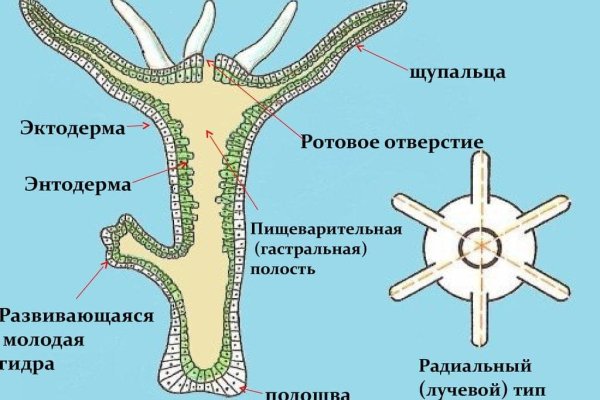 Кракен даркмаркет плейс